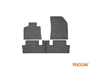 gumene patosnice za citroen c4 picasso 2013 2014 2015 2016 2017 2018 2019